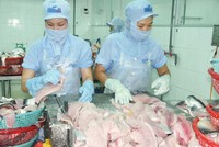 Xây “cứ điểm” ngoại, doanh nghiệp thiếu gì?